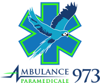 Ambulance Paramedicale 973